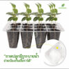 ถาดเพาะเมล็ดทรงสูง(12หลุม) ถาดเพาะต้นกล้า ถาดปักชำกิ่ง seedling tray พร้อมฝาบ่มระบายอากาศ ควบแน่นต้นไม้