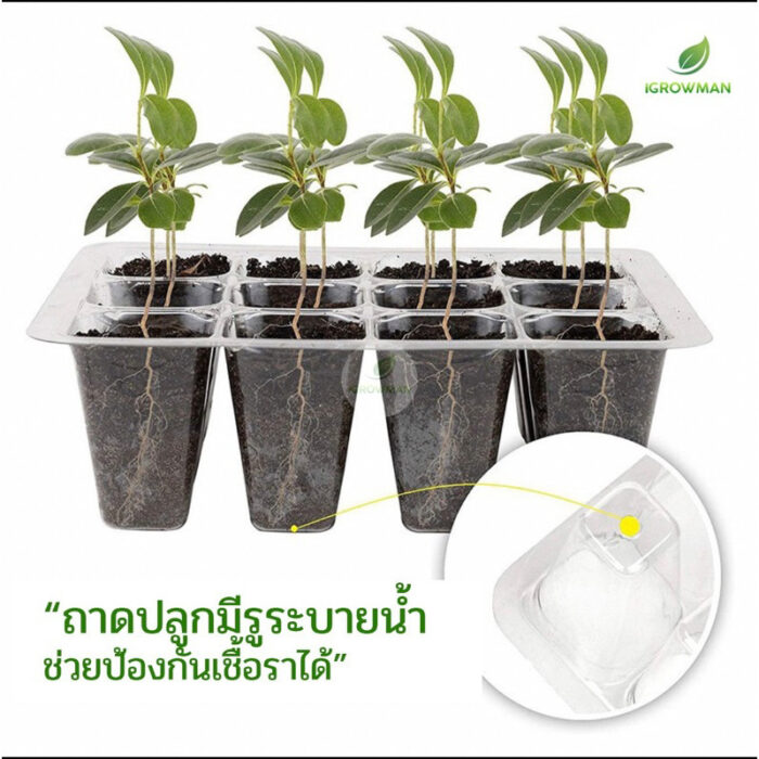 ถาดเพาะเมล็ดทรงสูง(12หลุม) ถาดเพาะต้นกล้า ถาดปักชำกิ่ง seedling tray พร้อมฝาบ่มระบายอากาศ ควบแน่นต้นไม้