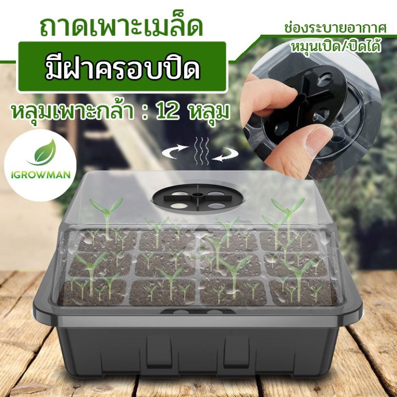 ถาดเพาะเมล็ดทรงสูง(12หลุม) ถาดเพาะต้นกล้า ถาดปักชำกิ่ง seedling tray พร้อมฝาบ่มระบายอากาศ ควบแน่นต้นไม้