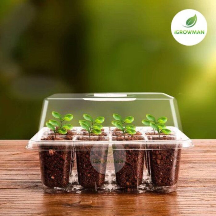 ถาดเพาะเมล็ดทรงสูง(12หลุม) ถาดเพาะต้นกล้า ถาดปักชำกิ่ง seedling tray พร้อมฝาบ่มระบายอากาศ ควบแน่นต้นไม้