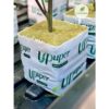 100ชิ้น UPUPER Hydroponic Rockwool Cubes ร็อควูล ร็อควูลก้อนใยหินปลูกต้นไม้ ขนาด 4x4cm