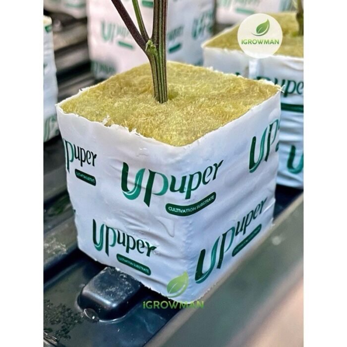100ชิ้น UPUPER Hydroponic Rockwool Cubes ร็อควูล ร็อควูลก้อนใยหินปลูกต้นไม้ ขนาด 4x4cm