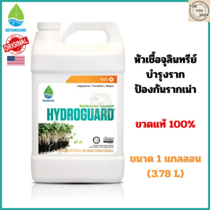 Botanicare Hydroguard หัวเชื้อจุลินทรีย์บำรุงราก ป้องกันรากเน่า (Bacillus) 1 แกลลอน ของแท้100%