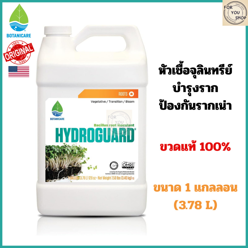 Botanicare Hydroguard หัวเชื้อจุลินทรีย์บำรุงราก ป้องกันรากเน่า (Bacillus) 1 แกลลอน ของแท้100%