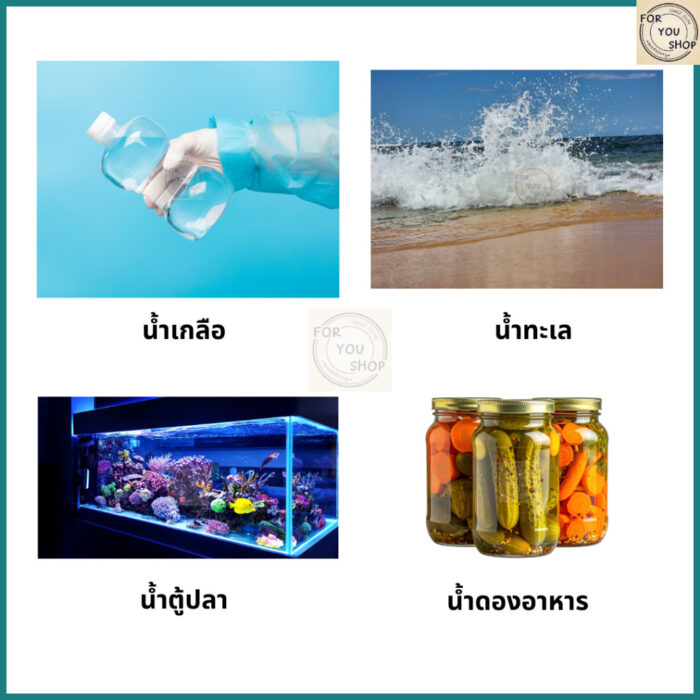 เครื่องวัดความเค็มความละเอียดสูง (ช่วง 0–100%) Salinity Meter Refractometer