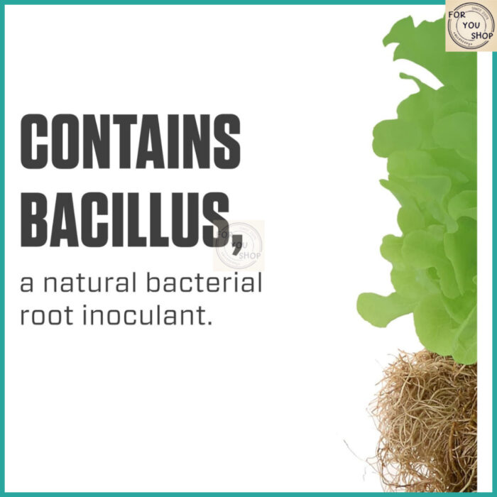 Botanicare Hydroguard หัวเชื้อจุลินทรีย์บำรุงราก ป้องกันรากเน่า (Bacillus) 1 แกลลอน ของแท้100%