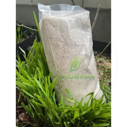 sg-11134201-81zvb-mn4e7f8vrpc8df-1.jpg เปลือกหอยป่น 1KG ซีลสูญญากาศ