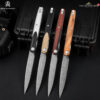มีดพับ Bestechman Lanza (BMK14-D) ใบมีด 3.45 นิ้ว เหล็กดามัสกัส Damascus แท้ ดีไซน์โดย Grzegorz Grabarski (ด้าม G10 / ไม